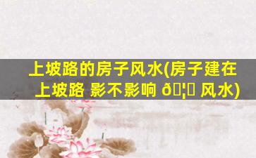 上坡路的房子风水(房子建在上坡路 影不影响 🦅 风水)